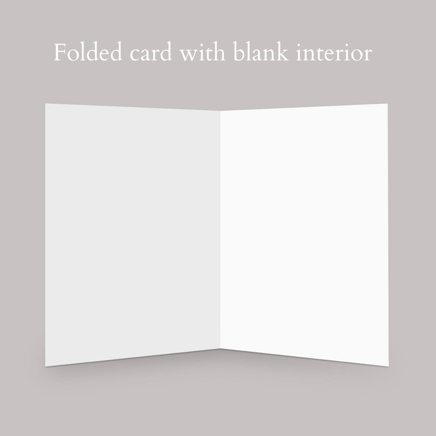 all cards have a blank interior