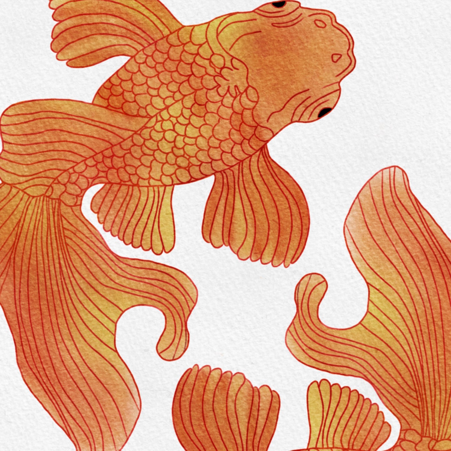 Goldfish Art Print - Orange fish wall art