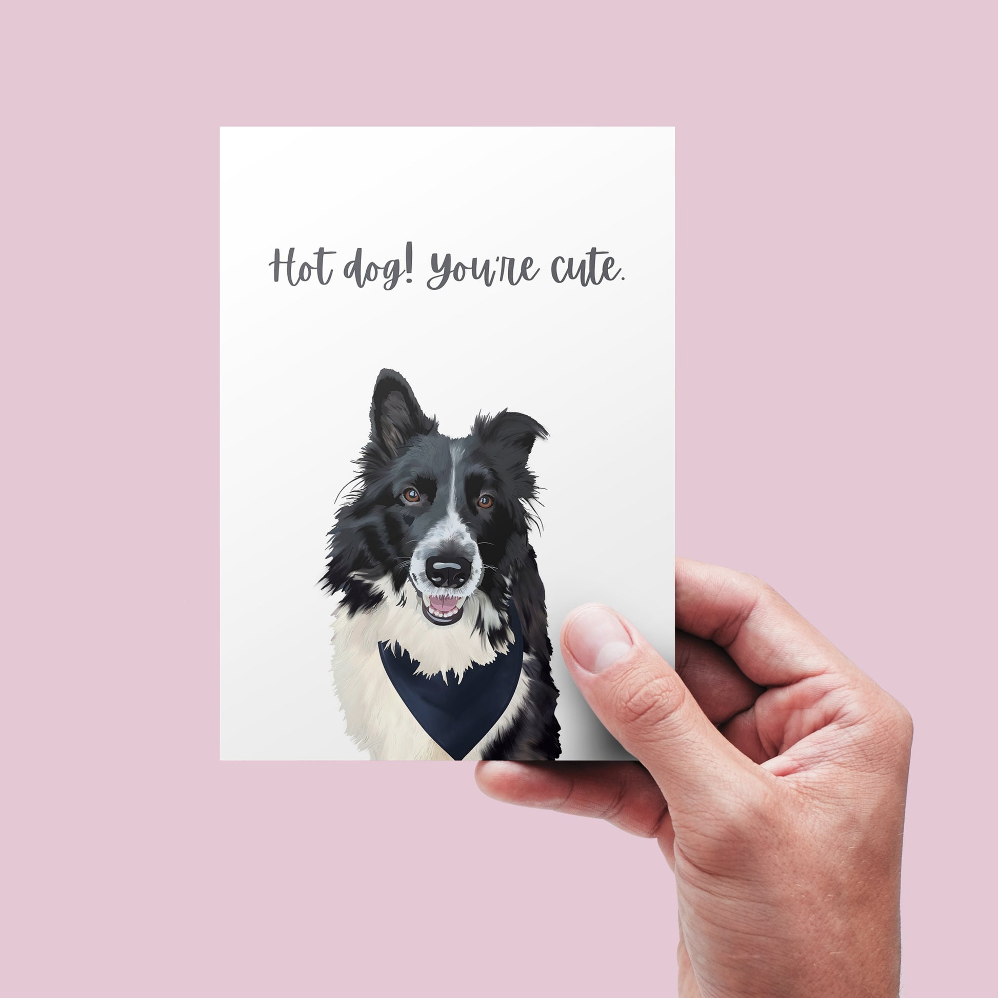 greeting card with a border collie and it says "hot dog! You're cute."