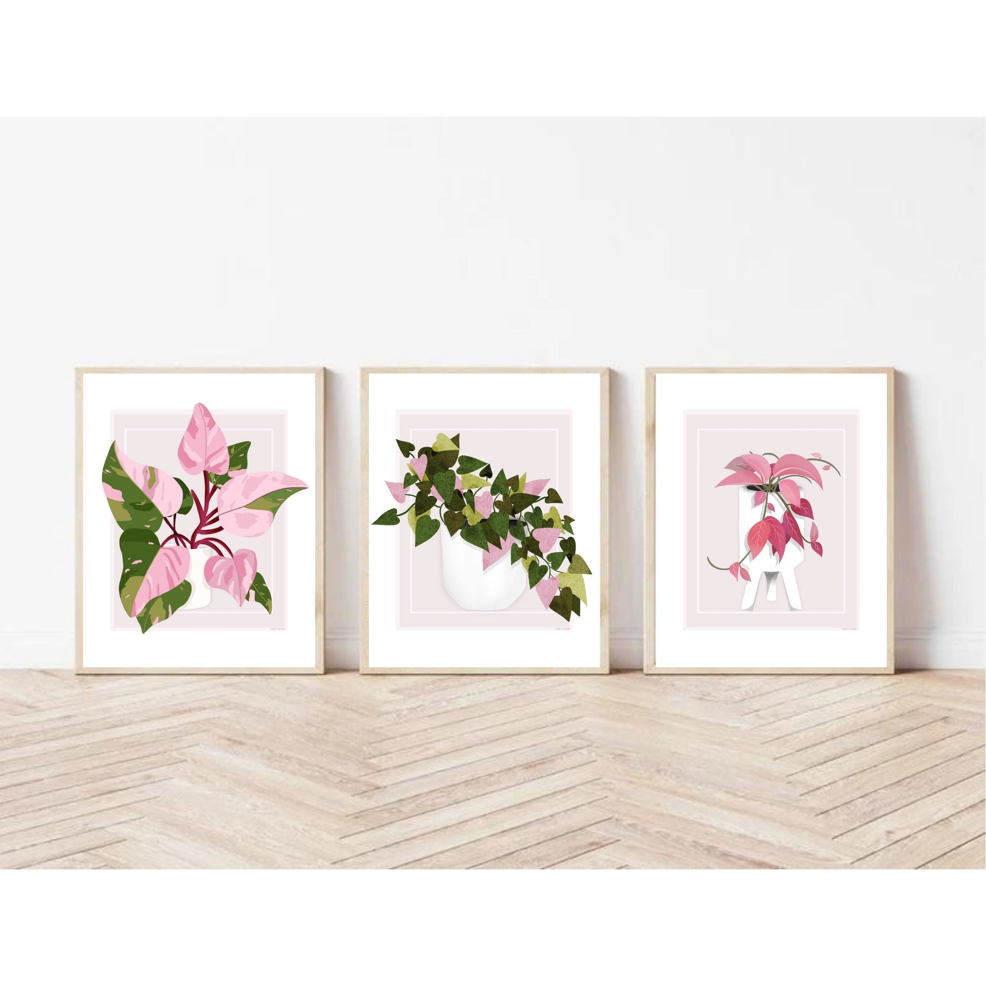 The pictures include one drawing of a Hoya potted plant, one drawing of a Philodendron, and one drawing of a black and gold Philodendron. All drawn in shades of pink and green. Brighten up any room with these bold, beautiful prints!  
