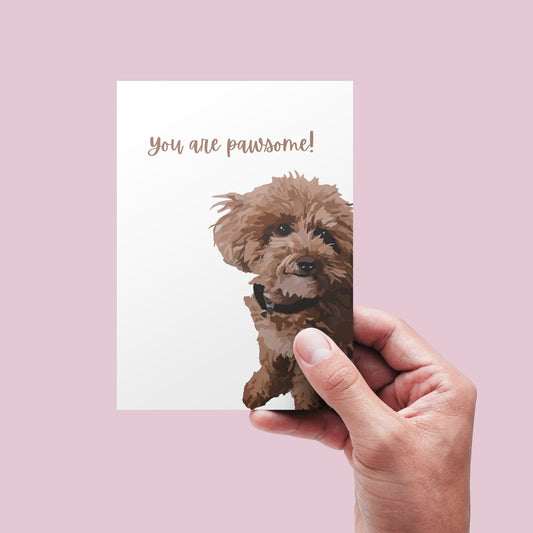 The sky is the limit with this cute greeting card! This is a hand-drawn image of a brown, fluffy mini goldendoodle, and the card says "You are pawsome!". It's a great card for that mini doodle dog mom or dog dad in your life - or even for someone who just can get enough of little pups! 